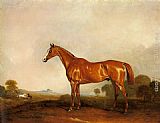 Chestnut Canvas Paintings - A Chestnut Hunter in a Landscape